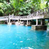 You will love the blue water and nature.🌿