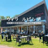 【北海道】紅茶好き必見！ニセコおすすめスポット