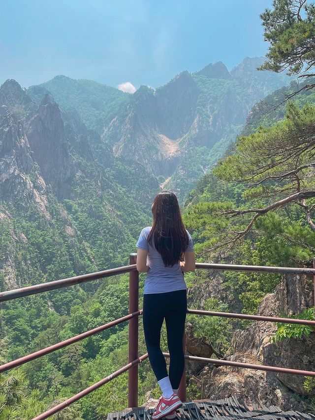 등린이도 도저언!! 설악산 토왕성폭포전망대 코스⛰
