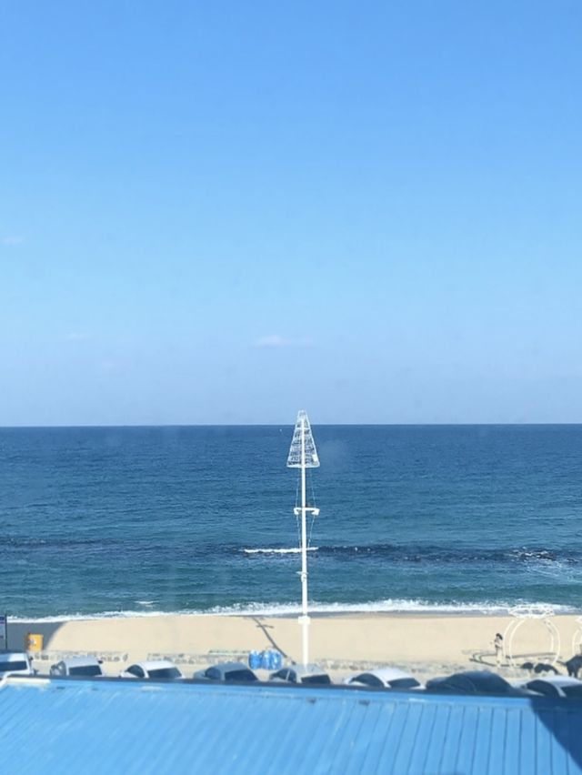 강릉 디저트 맛집 카페 '롱블랙' 
