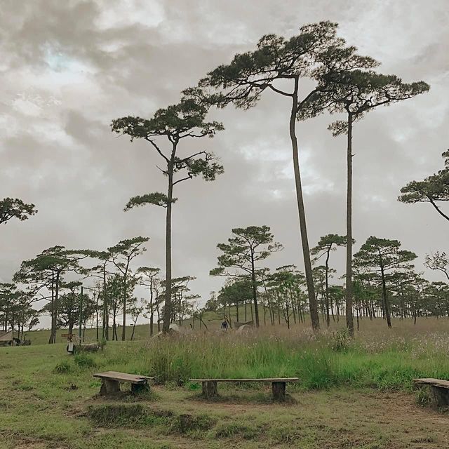 เดินป่าหน้าฝน - ภูสอยดาว 🌲🏞🌌🌫💫