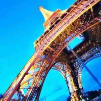 The Magnificant Eiffel Tower, Paris