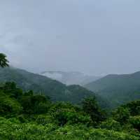 สดชื่นเขียวชอุ่มกับหน้าฝนที่เขาใหญ่