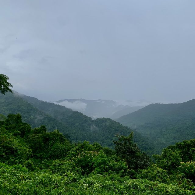 สดชื่นเขียวชอุ่มกับหน้าฝนที่เขาใหญ่