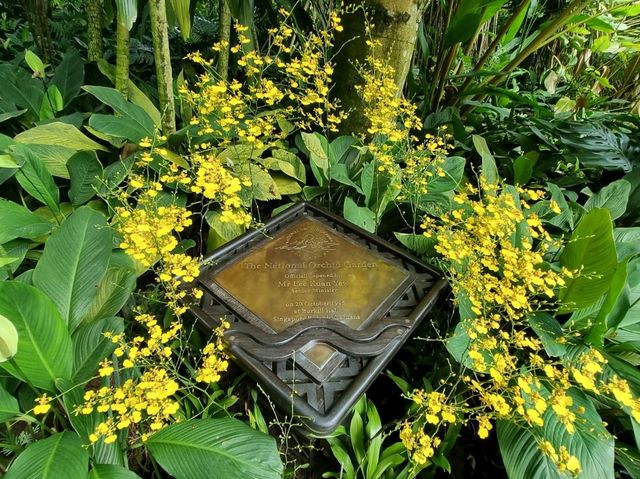 Nature Tranquil 