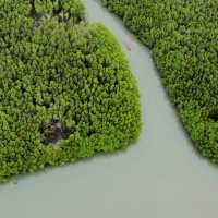 Mangrove Paradise on Koh Chang