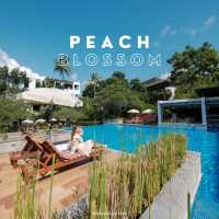 ที่พักบนเนินเขากะตะ, ภูเก็ต