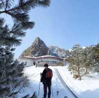 제주도 설산의 매력, 한라산은 겨울이 가장 예쁘다