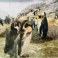 【旭山動物園】北海道/旭川市