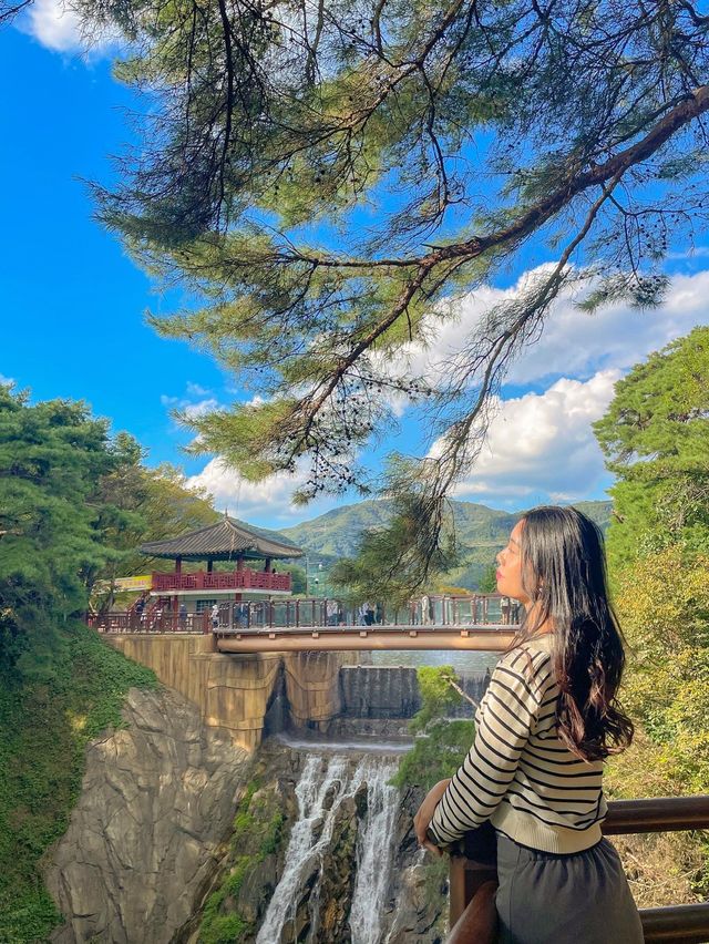 제천에 가면 꼭 들려야하는 필수코스🍁