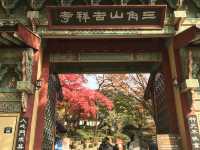 シャッターを押せば全てが美しく写る吉祥寺