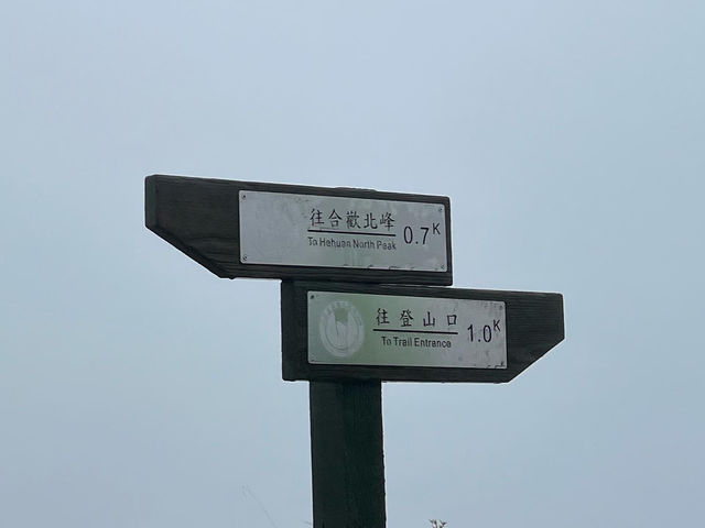 南投爬山去｜合歡山北峰、東峰，我登頂了
