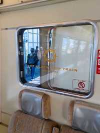 Inmerse yourself in a Seaview train!! 