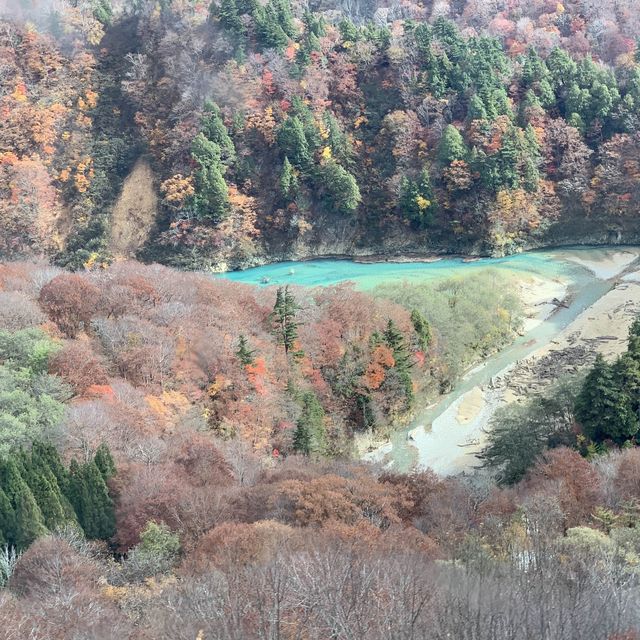 苗場はもう晩秋🍁日本最長ゴンドラ