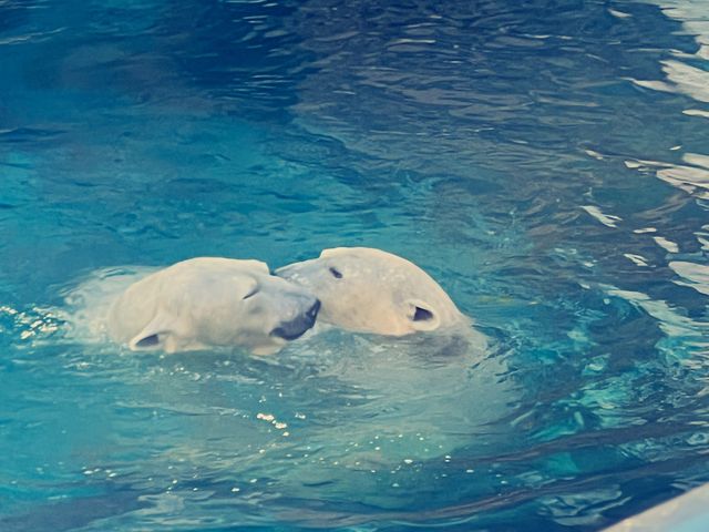 大阪 天王寺動物園 — 睇到香港睇唔到嘅動物