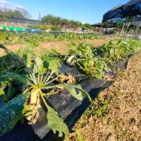 佔地超廣新屋環境教育園區
