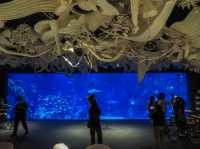 Aquaria Phuket พิพิธภัณฑ์สัตว์น้ำที่ใหญ่ที่สุด