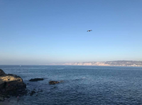 La Jolla Cove - San Diego, USA