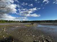 old orchard park