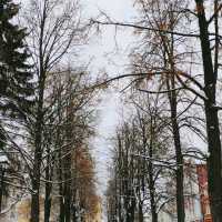 beautiful winter 