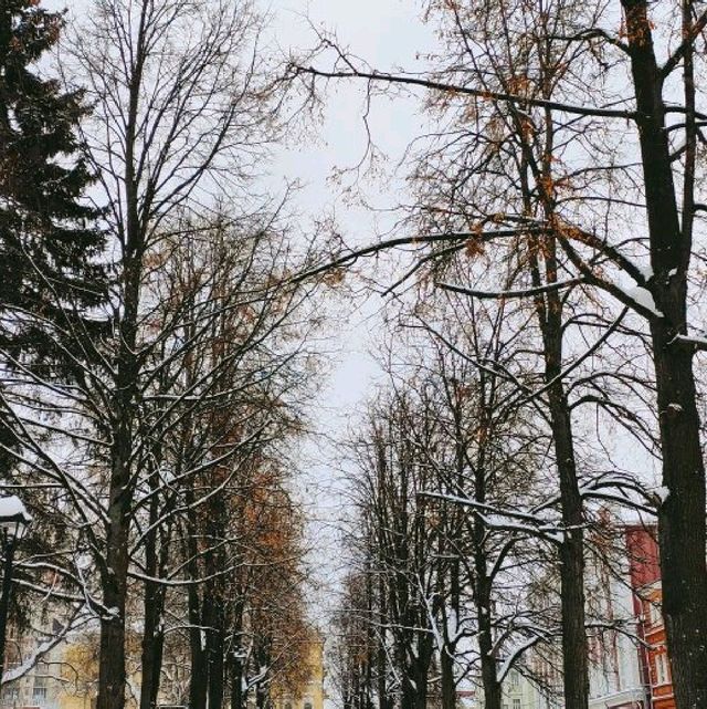 beautiful winter 