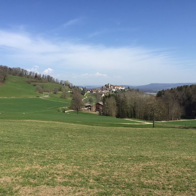 Lägern Mountain hiking to Baden🇨🇭