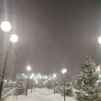 beautiful winter 