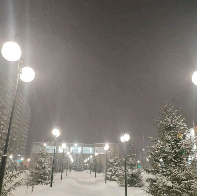 beautiful winter 