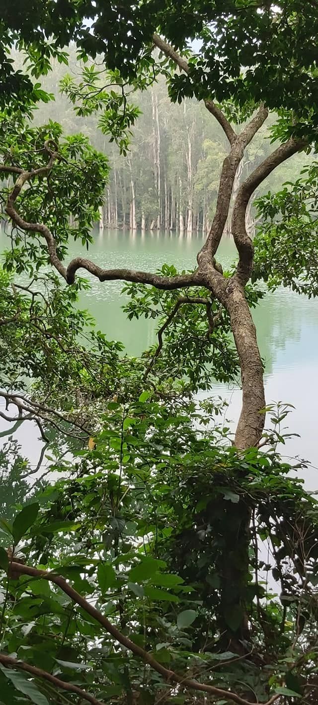 城門水塘輕鬆行山