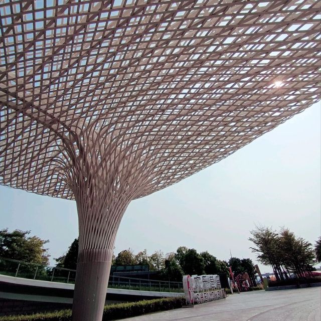 Celebration Square 