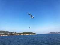 Princes’s Islands 