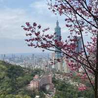 Autumn hike 🍂 Caoling Trail Taiwan