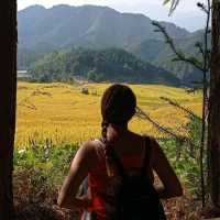 Golden Rice Terraces Oujia Village, Taibao Town, Lianshan, Yao Autonomous County, Qingyuan