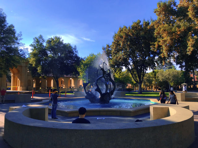 The wind of freedom always blows: Stanford University, the world-renowned immersive playground for children of prestigious schools.