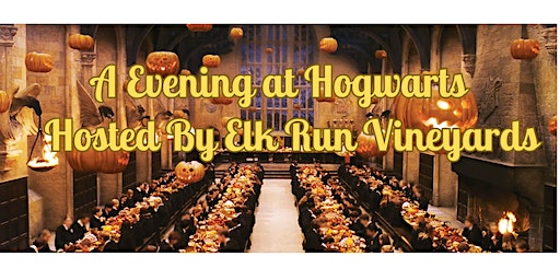 An Evening at Hogwarts 2024 | Elk Run Vineyards