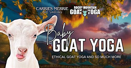 Sunset Goat Yoga - October 19th (CARRIES MERRIE GOAT SANCTUARY) | 353 S Ridge Rd
