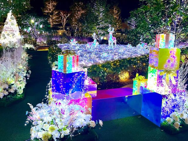 大名古屋ビルヂング クリスマスイルミネーション2024 | 大名古屋ビルヂング