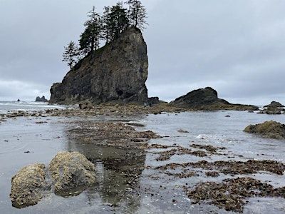 PAWA paints for 3 days at Rialto Beach, Second Beach and La Push 2025 | Rialto Beach