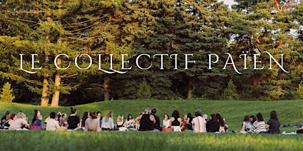 Pique-Nique Collectif Solstice d’Été | Parc La Fontaine