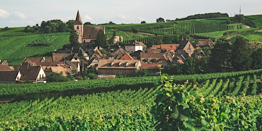 French Wine Tasting in Cornwall: Tour de France | Penventon Park Hotel