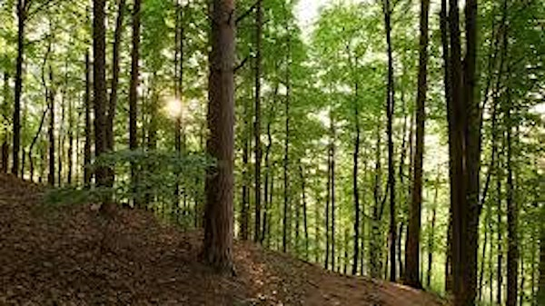 From Cumorah's Hill | 5500 Fruitvale Ave