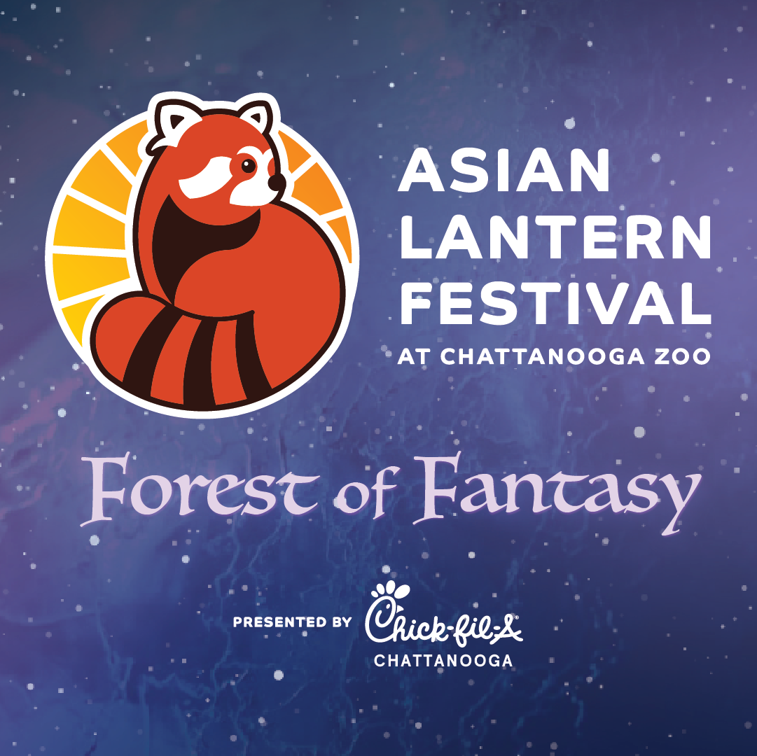 Asian Lantern Festival: Forest of Fantasy | Christmas in Chattanooga 2025 | Chattanooga Zoo