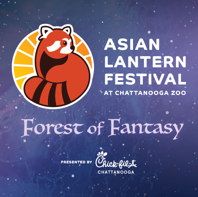 Asian Lantern Festival: Forest of Fantasy | Christmas in Chattanooga 2025 | Chattanooga Zoo