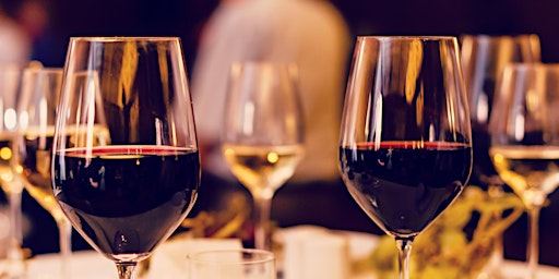 Uncorked Abruzzo with Cristiana Tiberio: Wines of Purity and Terroir | Eataly Eaton Centre