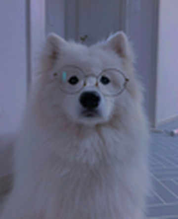 밤산책자