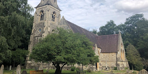 A Trail in the Ancient Woodland - Epping Forest Guided Walk | Outside Loughton Station (Central Line)