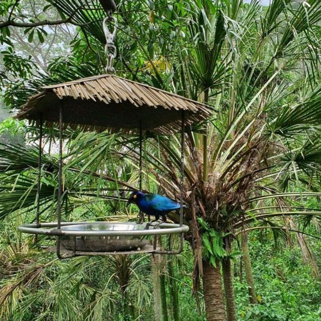 Jurong Bird Park