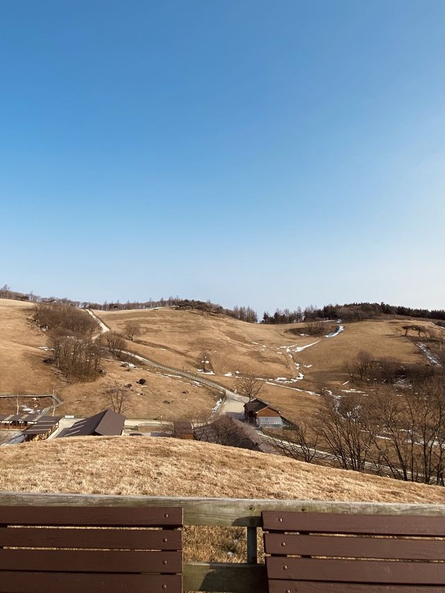 그림같은 겨울의 양떼목장