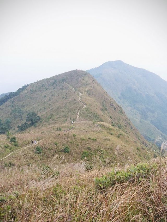 八仙嶺