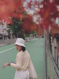 ไปญี่ปุ่นไม่ได้ เที่ยวญี่ปุ่นทิพย์ไปก่อนละกันเนอะ 